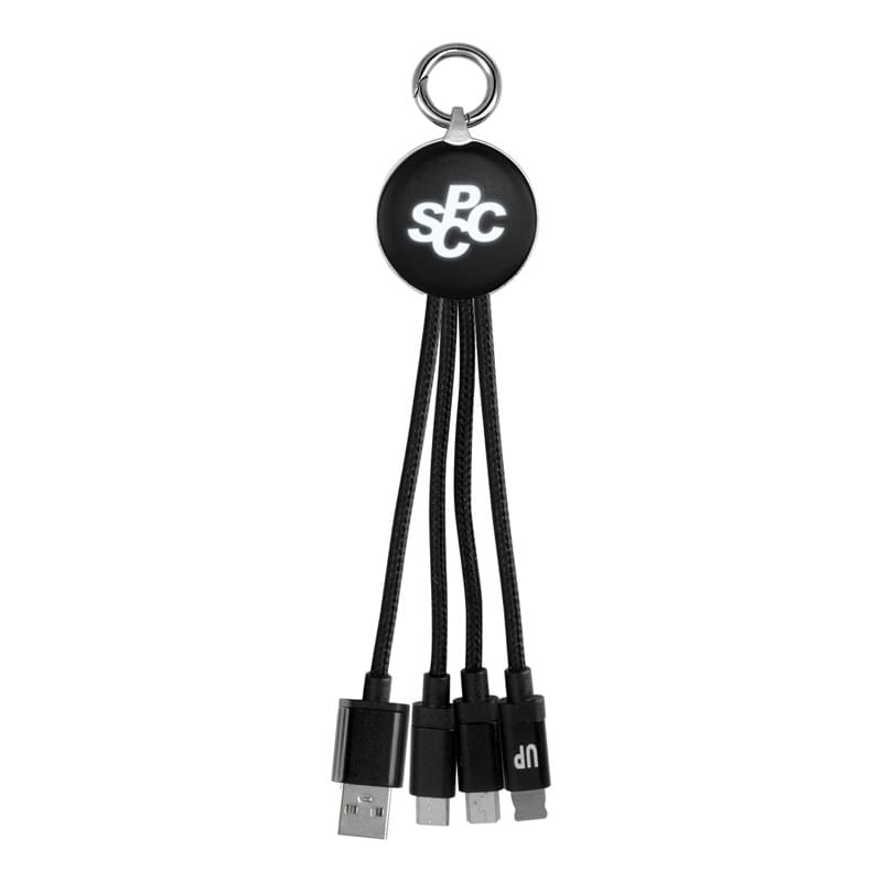 Metallic Logo Light Up Cable with Type C USB