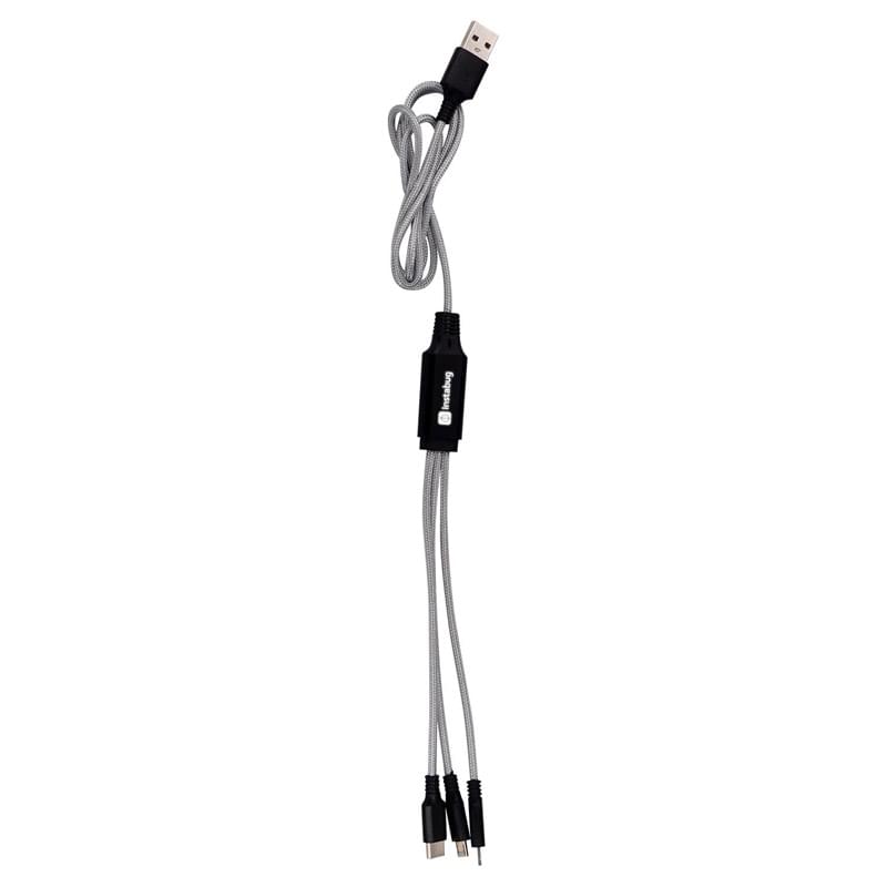 3’ Metallic Logo Light Up Cable with Type C USB