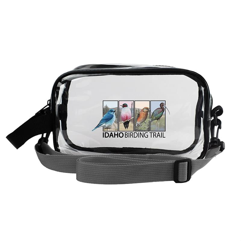 Clear Crossbody Bag
